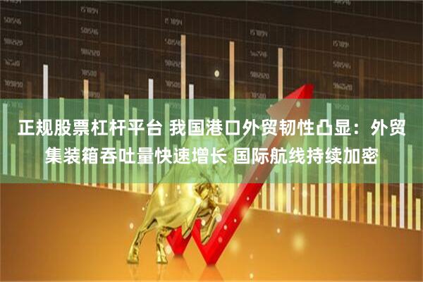 正规股票杠杆平台 我国港口外贸韧性凸显：外贸集装箱吞吐量快速增长 国际航线持续加密