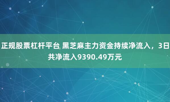 正规股票杠杆平台 黑芝麻主力资金持续净流入，3日共净流入9390.49万元